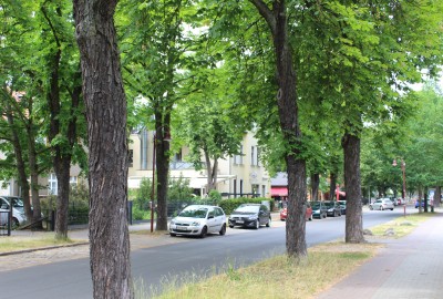 bildergalerie image 15