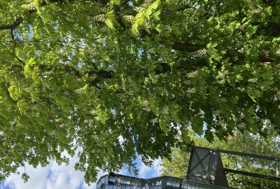 bildergalerie image 4