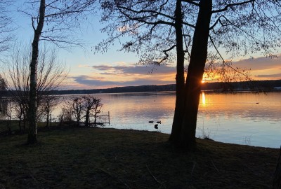 bildergalerie image 12