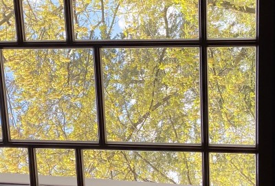 bildergalerie image 14