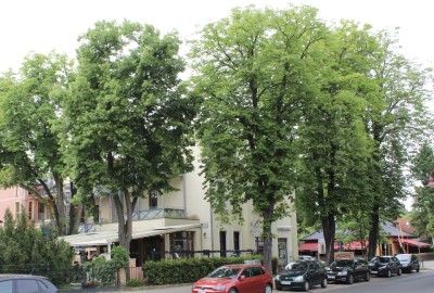 bildergalerie image 11