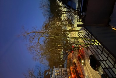 bildergalerie image 12